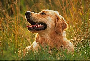 《inZOI》官宣2026年登陆PS5！Xbox移植计划评估中